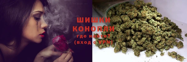 гидра Армянск