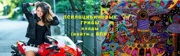 прущий лед Арсеньев