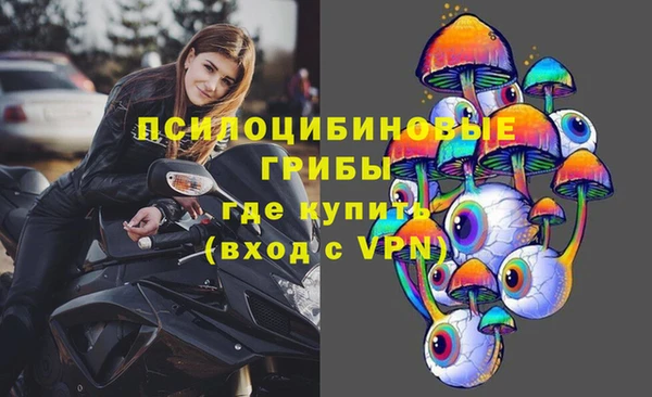 прущий лед Арсеньев