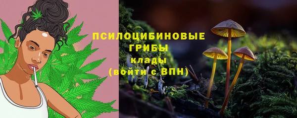 гидропоника Осташков